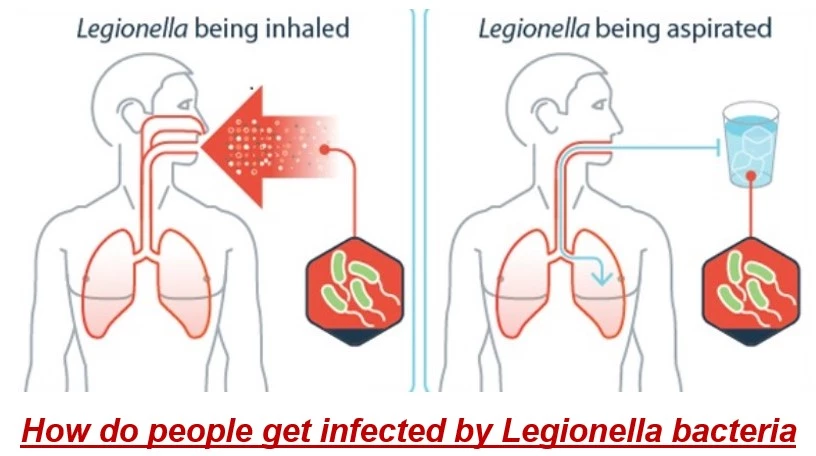 how-do-people-get-infected-by-legionella-bacteria
