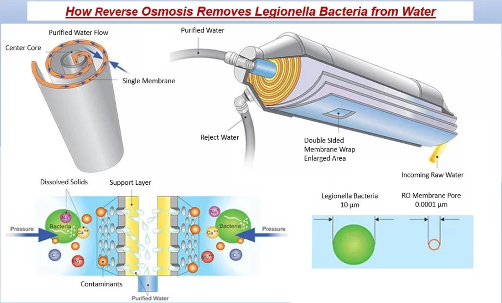 how-reverse-osmosis-removes-legionella-bacteria-from-water