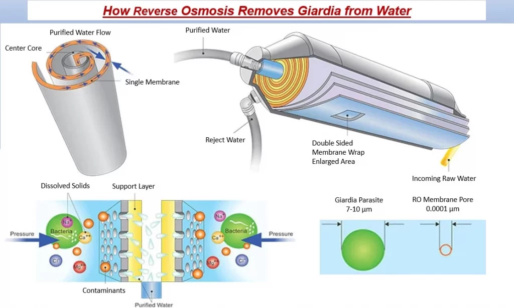 how-reverse-osmosis-removes-giardia-from-water